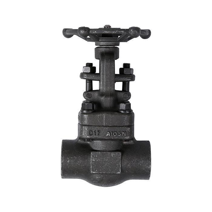 Sealed pipe thread forged steel gate valve