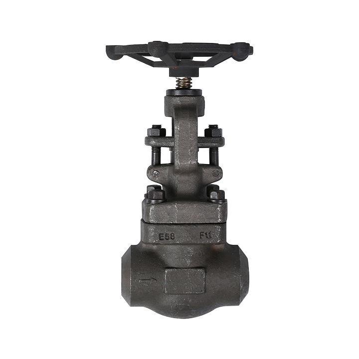 Forged steel hard-sealed welded globe valve